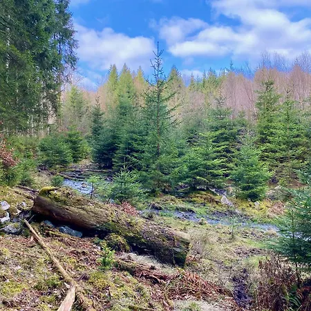 Les Iris - Confort Au Coeur De La Nature Holiday home