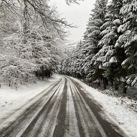 Les Iris - Confort Au Coeur De La Nature