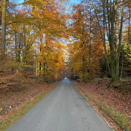 Les Iris - Confort Au Coeur De La Nature Holiday home